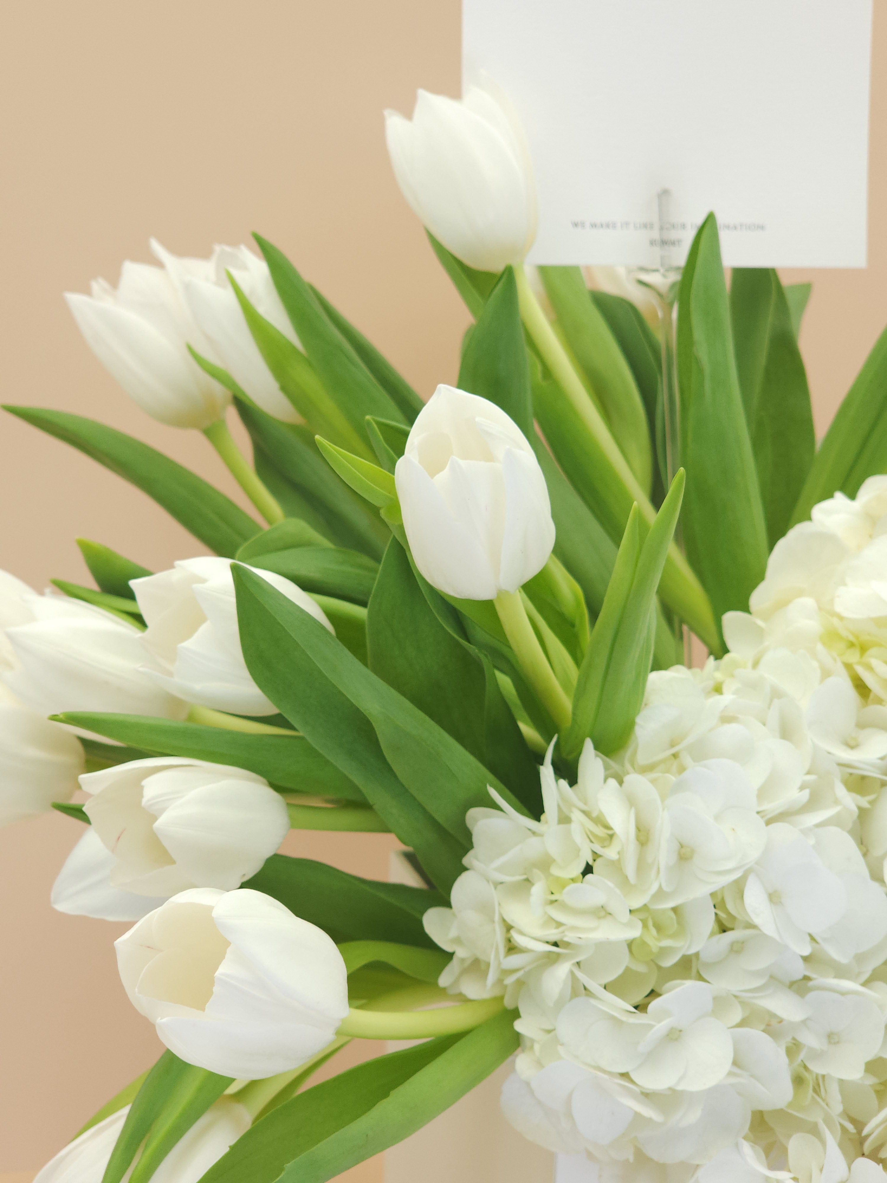 بوكس باقة ورد توليب و هيدرينجا